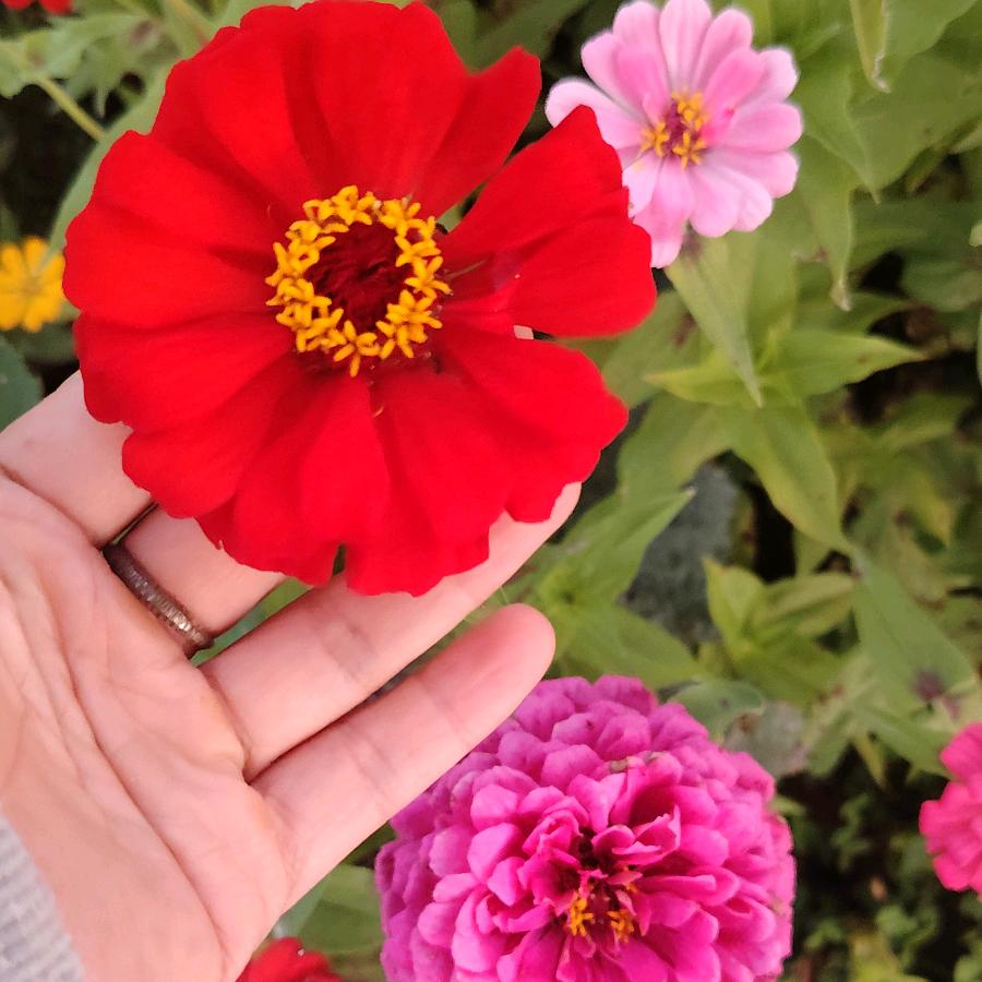 ღᩚ᭄ 㜂孞ৡᩚ࿐