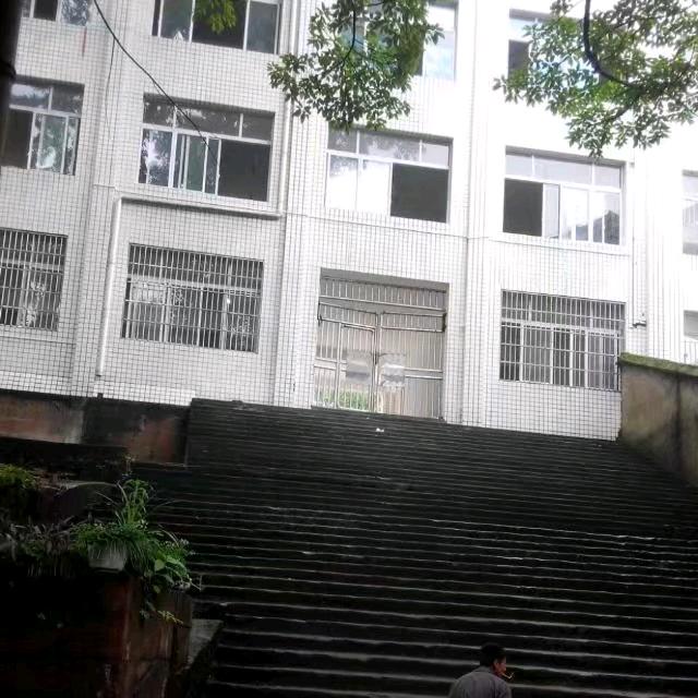 李子沐
