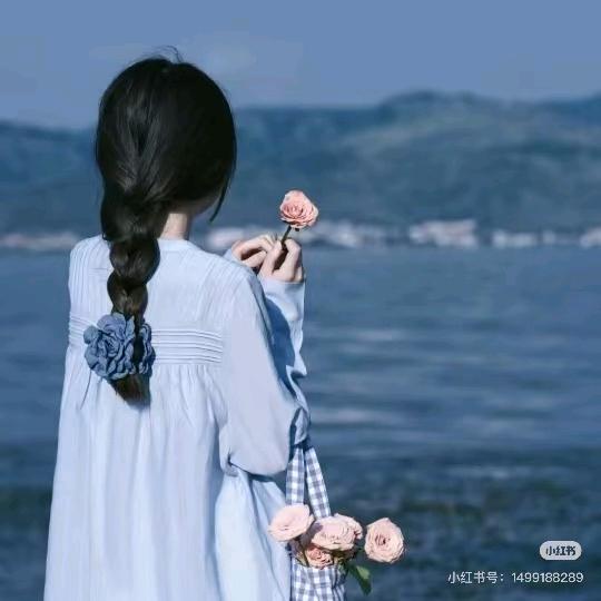 尘缘若梦