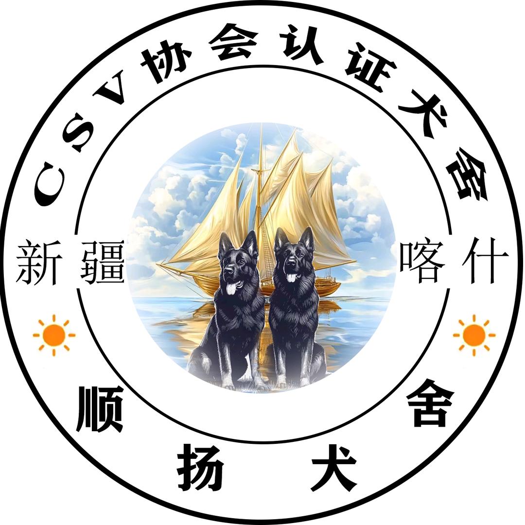 新疆喀什  一品东德——CSV顺扬犬舍