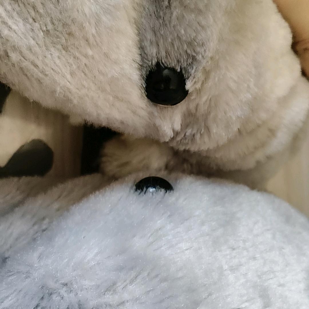 赵谣与赵露露 日常