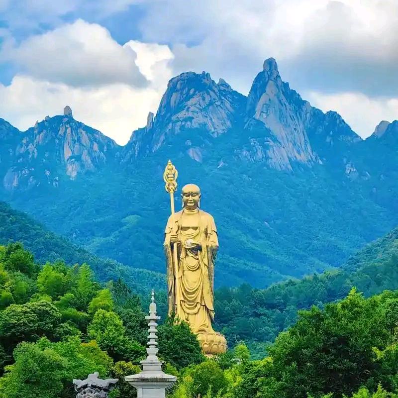 岁月静好（出售各种果树苗）