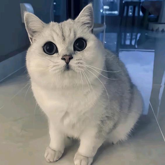 她说.