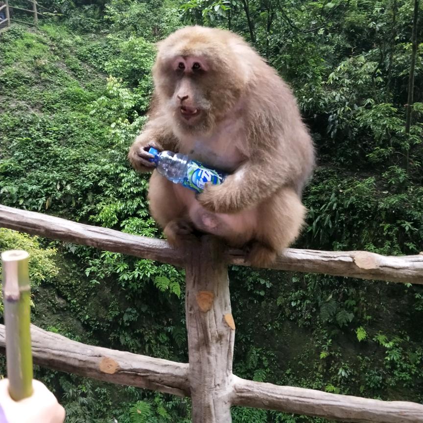 人生如戏