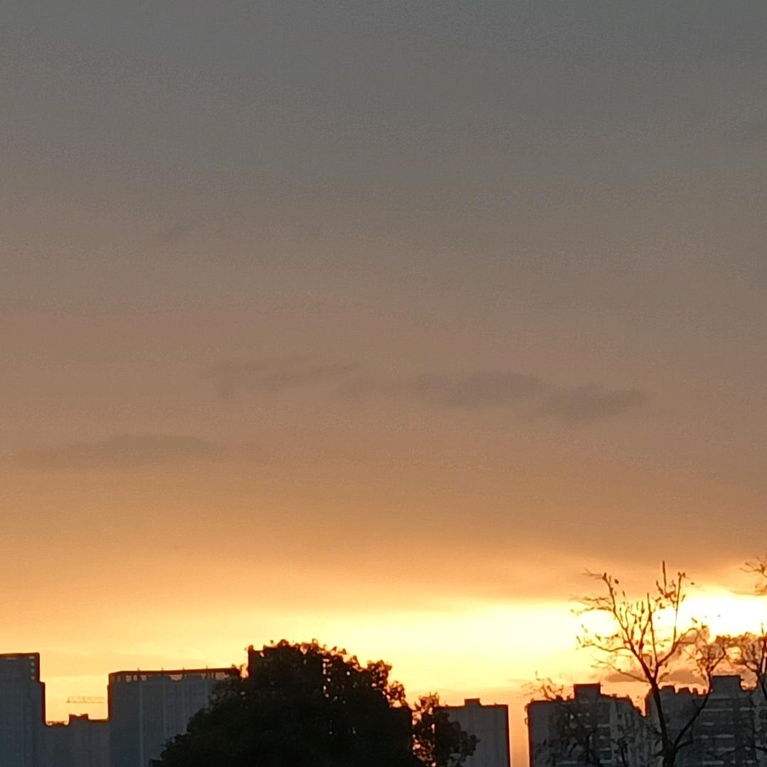 沙漠绿洲