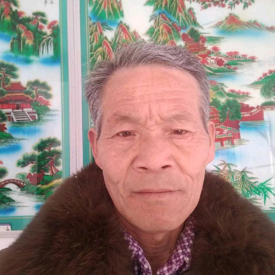 戴哥
