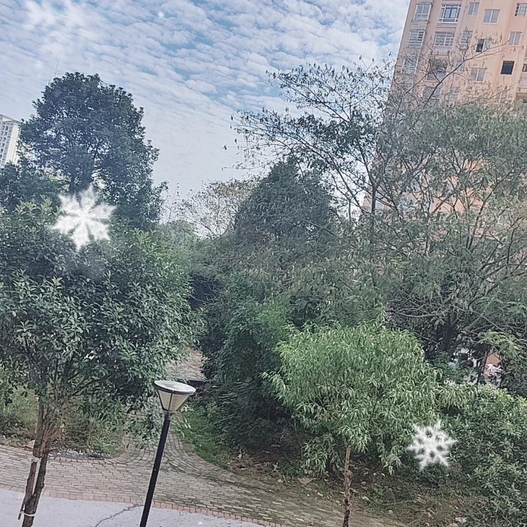快乐的小天使。