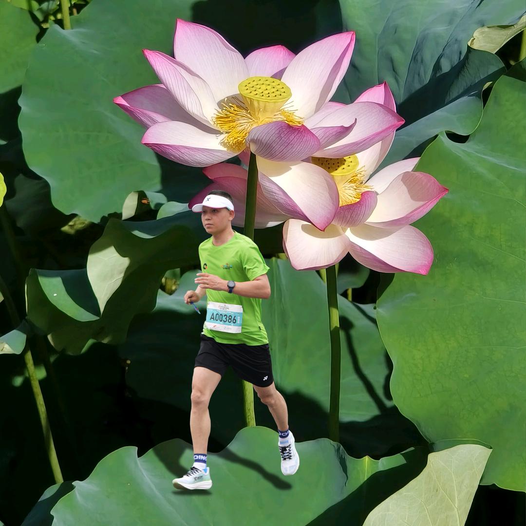 大锄🌿ོ