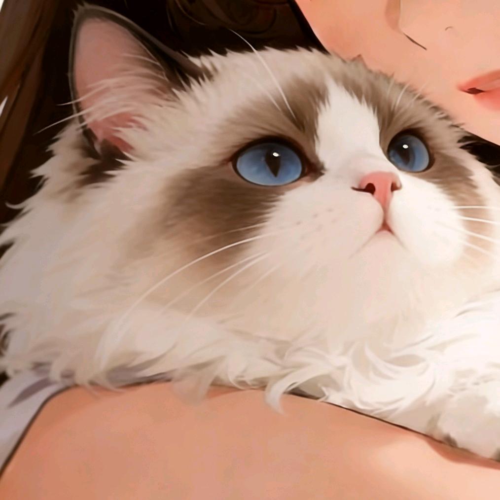 川渝女暴龙辣妹