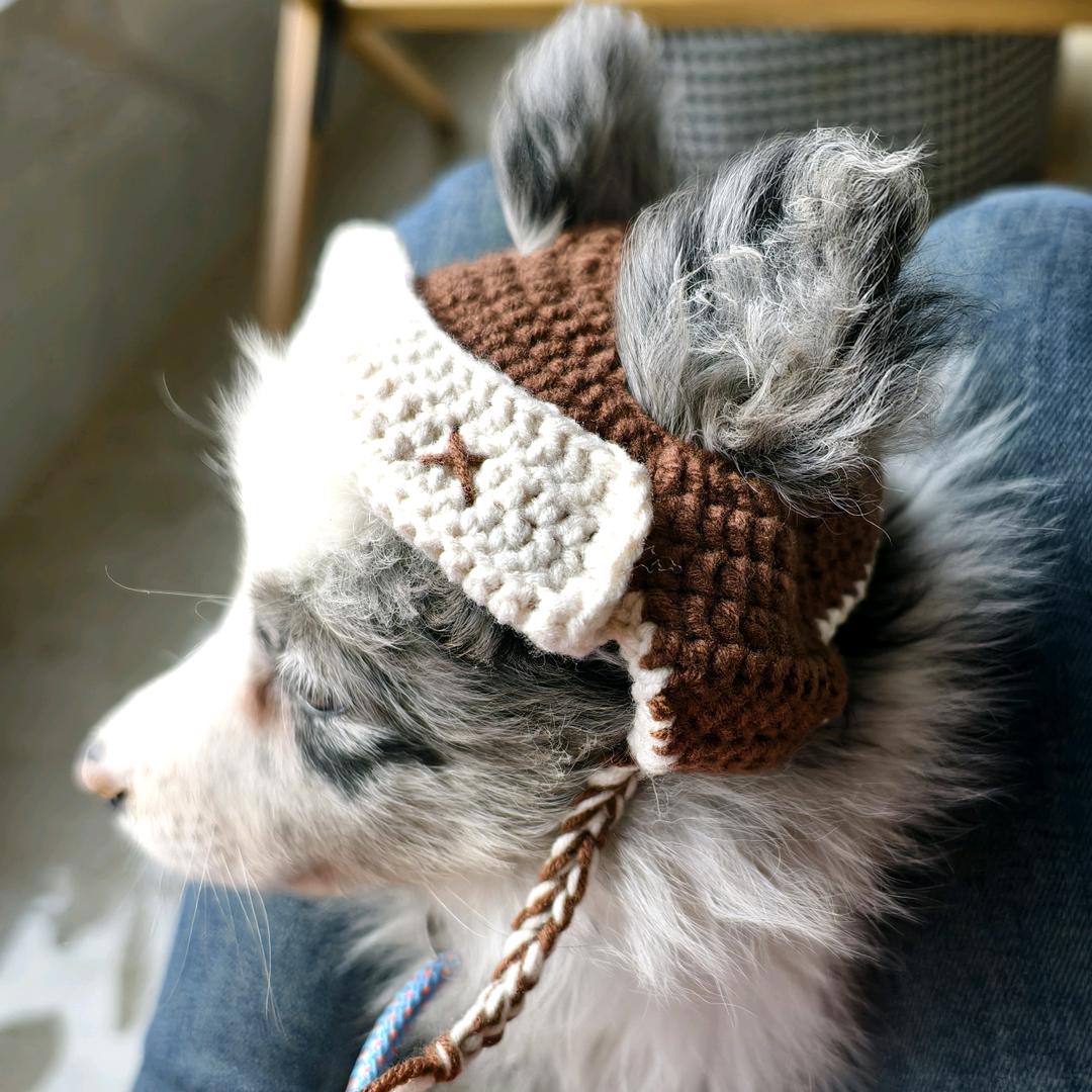 🌈莱米不是米。