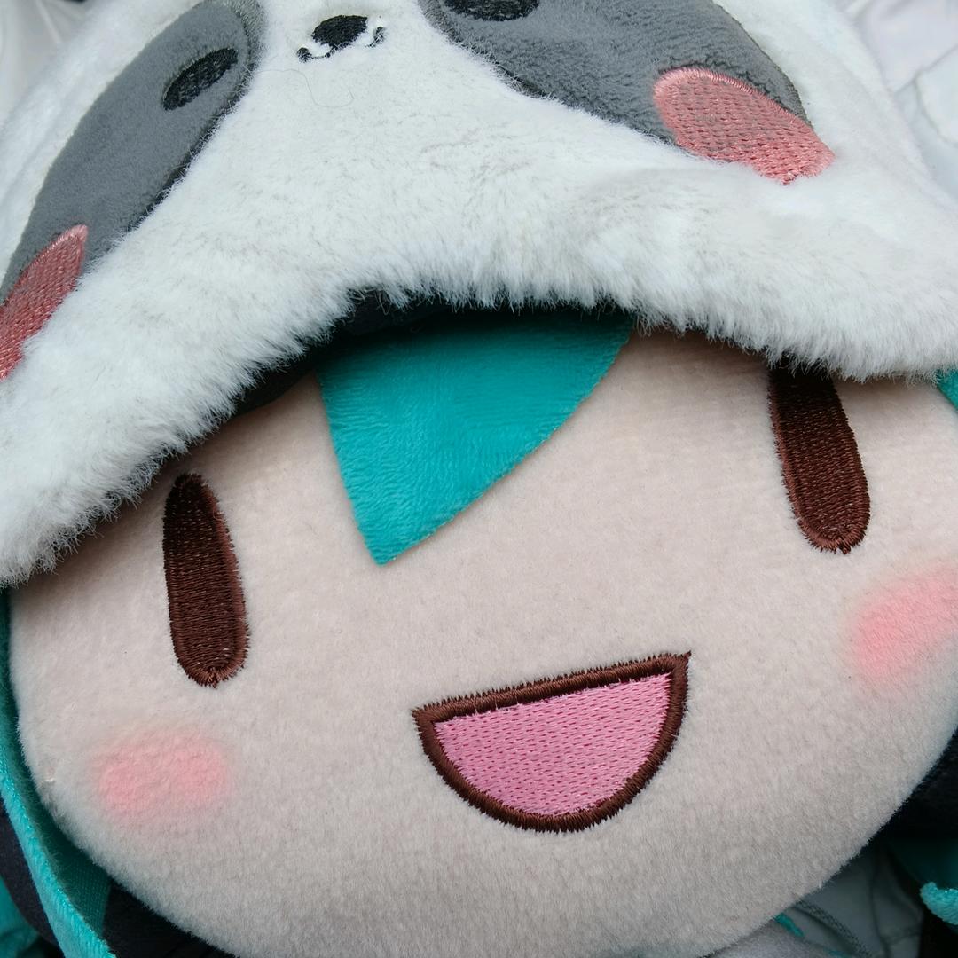 哈基六⁶