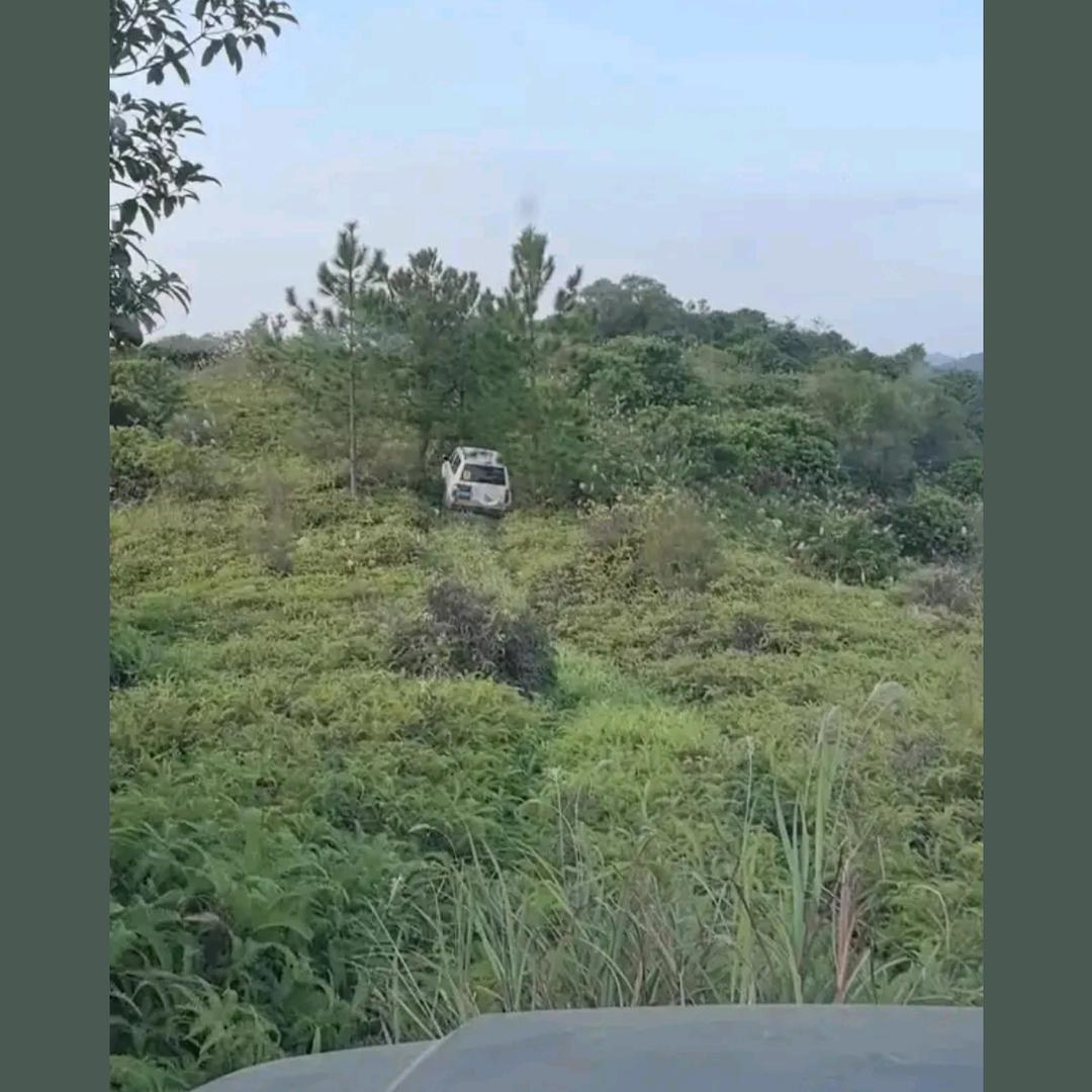 讨厌四川的她