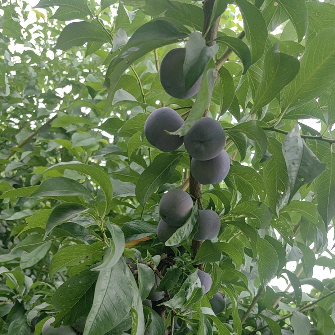 从O开始