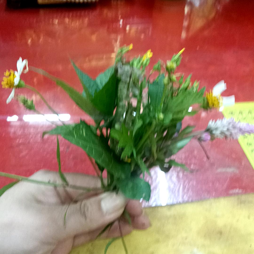如意花
