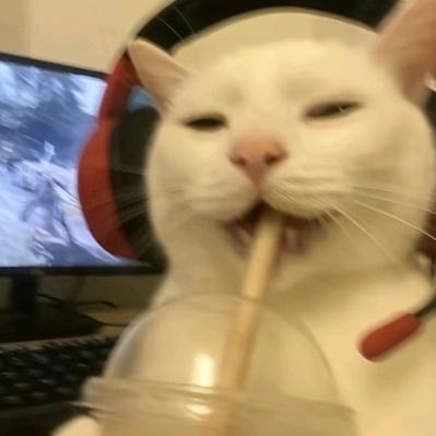 与秋看一千次海