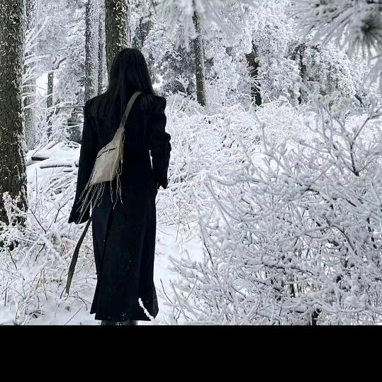 🌸((☀️幸福来敲门☀️))🌸