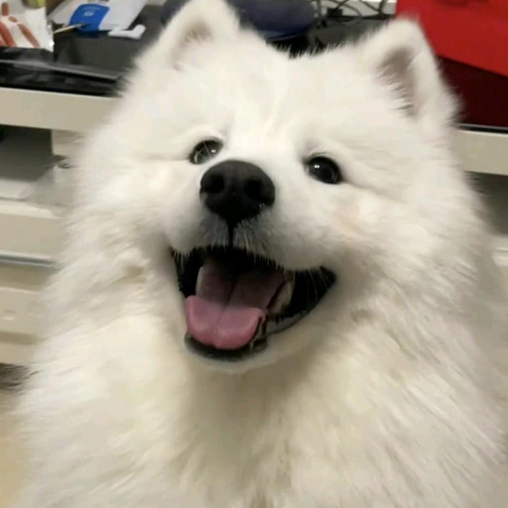 唯心宠爱