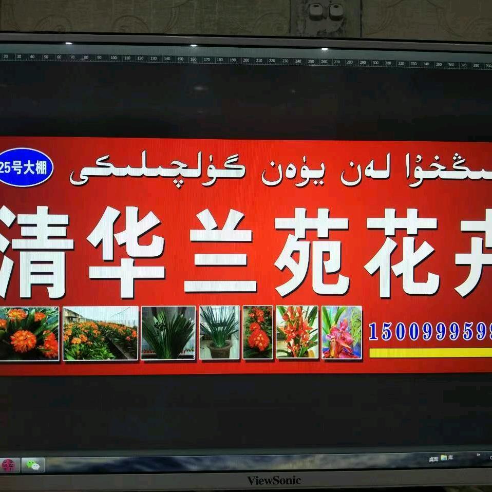 清华兰苑花卉(爬行健身)