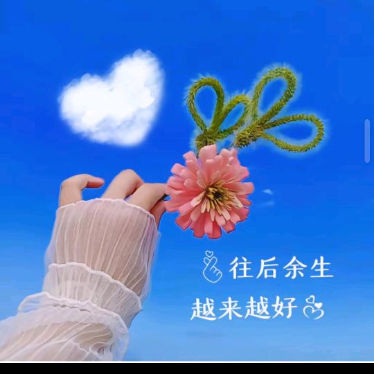 爱。是唯一的，🌹