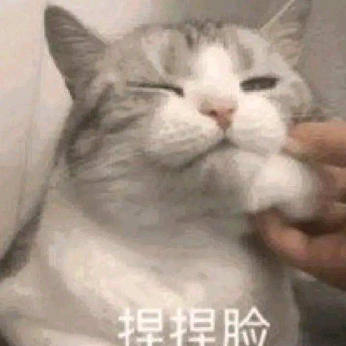 小奈（遇见树洞）