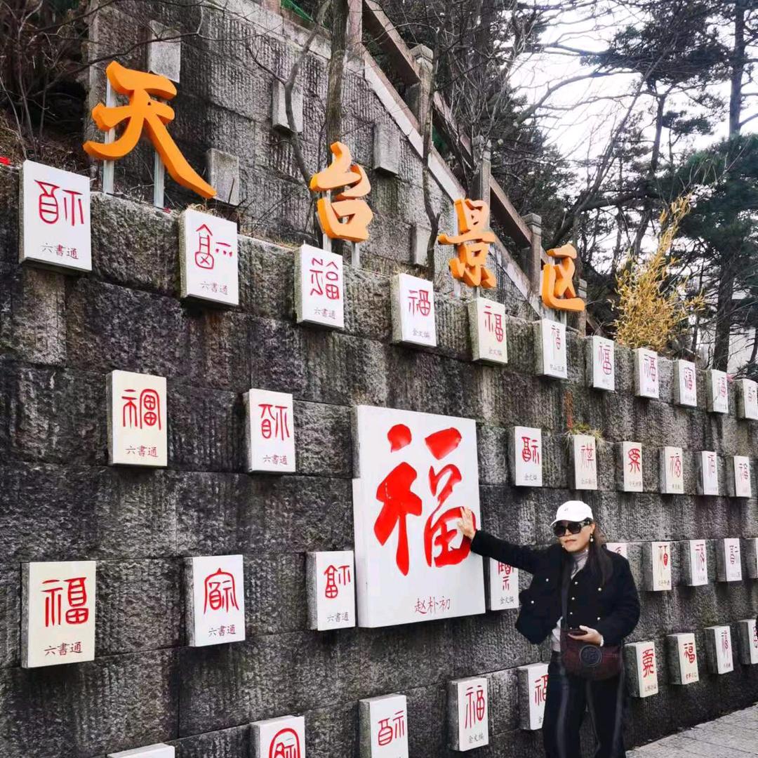 墙角一枝梅