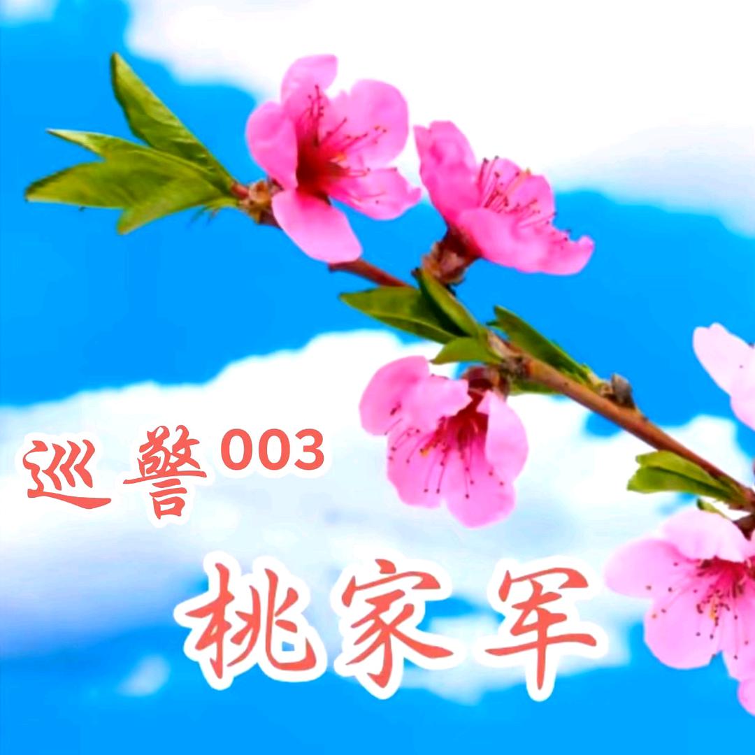 巡警@桃家军⁰⁰³