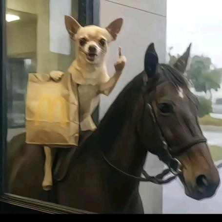 🌈CCC——猪猪侠坐飞机