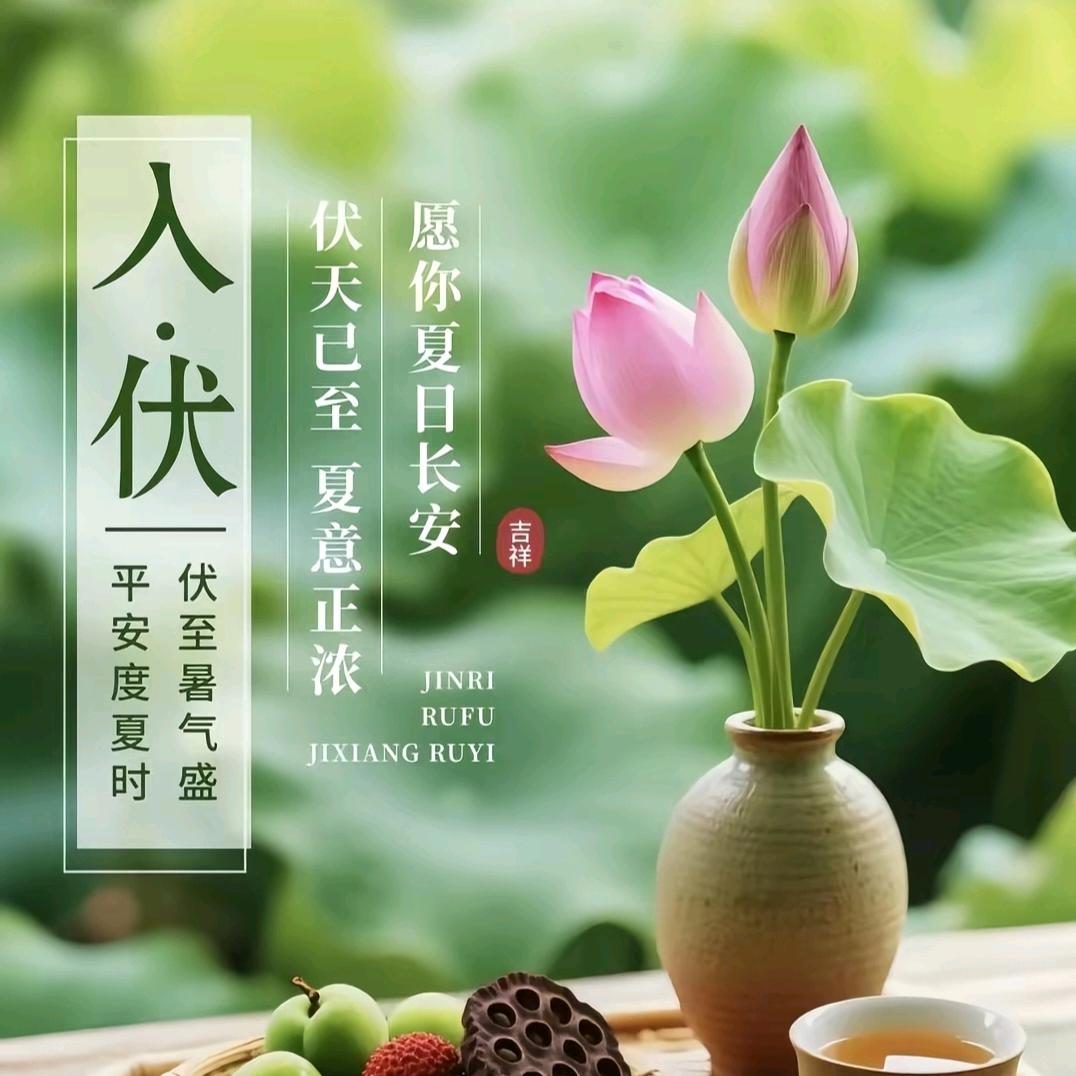 小酒🍺墨