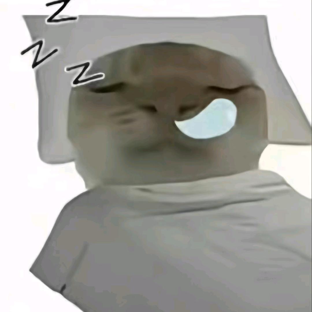 今晚早点睡z