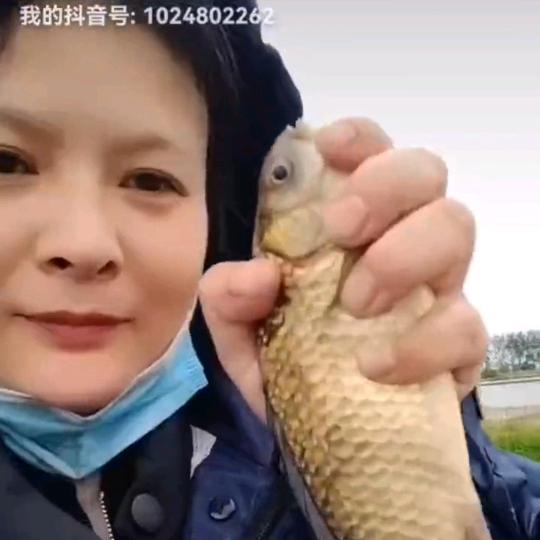 鱼☝娱👆余☝橱窗有好物！