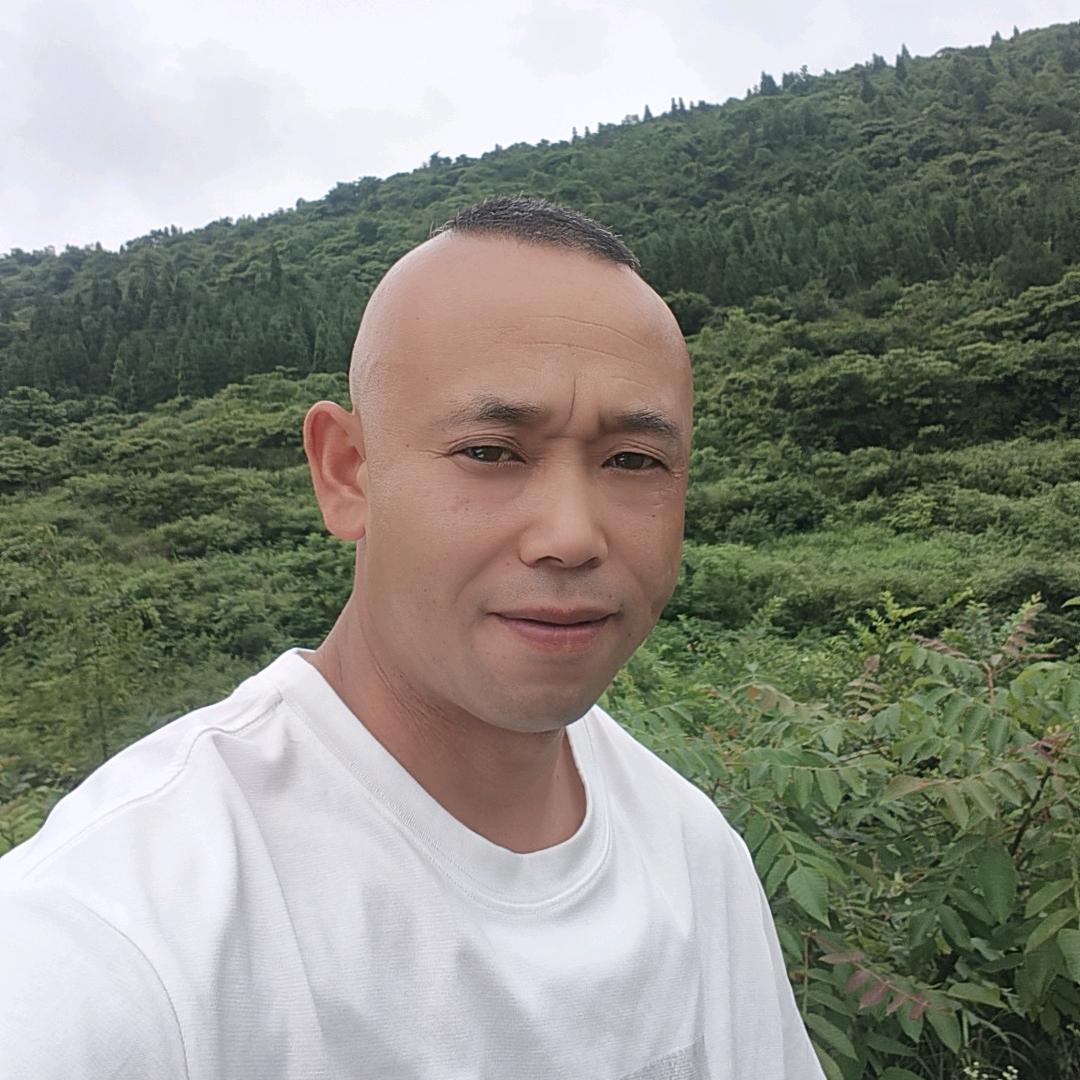 贵州巴哥