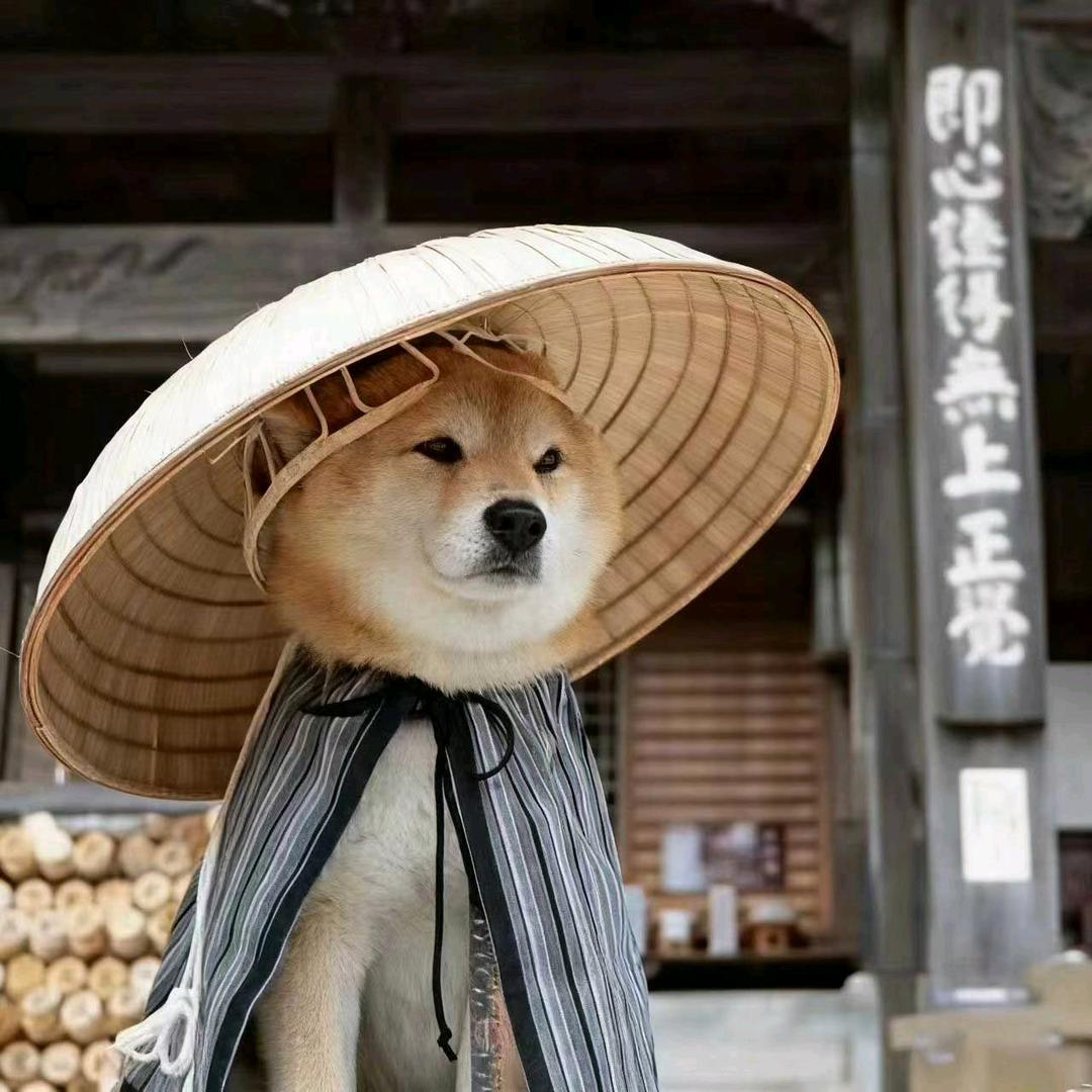 陈澹之 4.0
