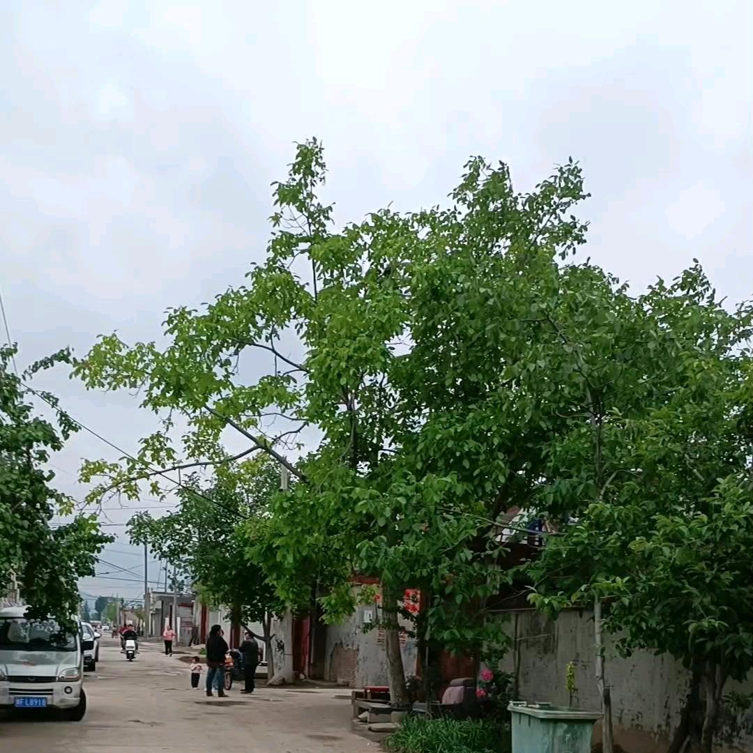 缘分让我认识了你