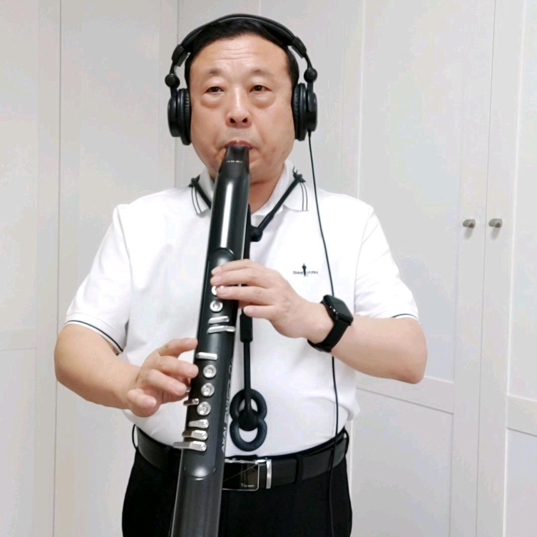 木子平（电吹管）