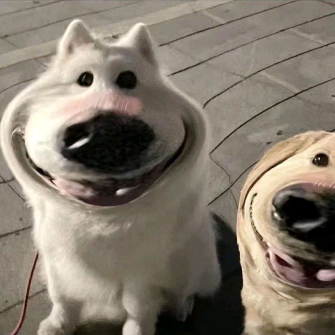 你都如何回忆我