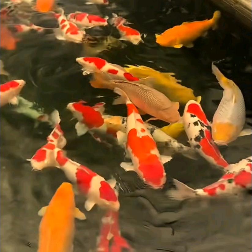 王某人