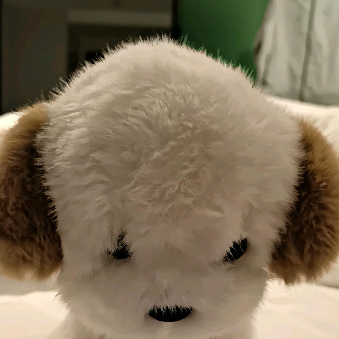 傻笑的狍子