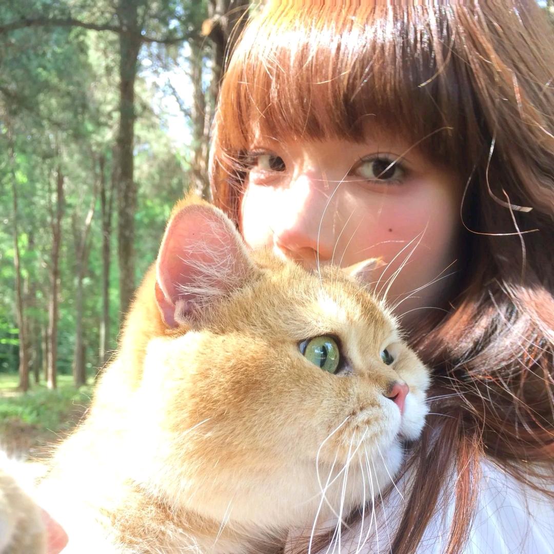 小羊爱看剧