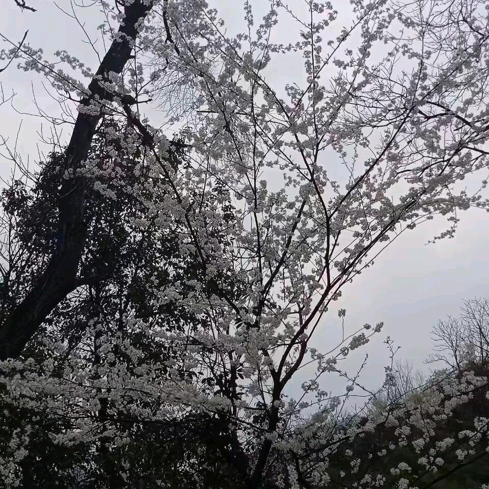 ✨往后余生✨