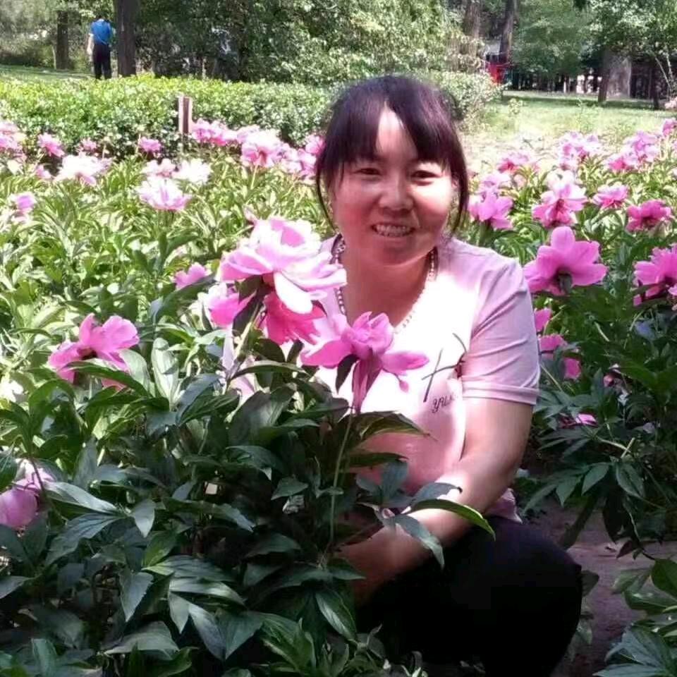 冬天里的红太阳