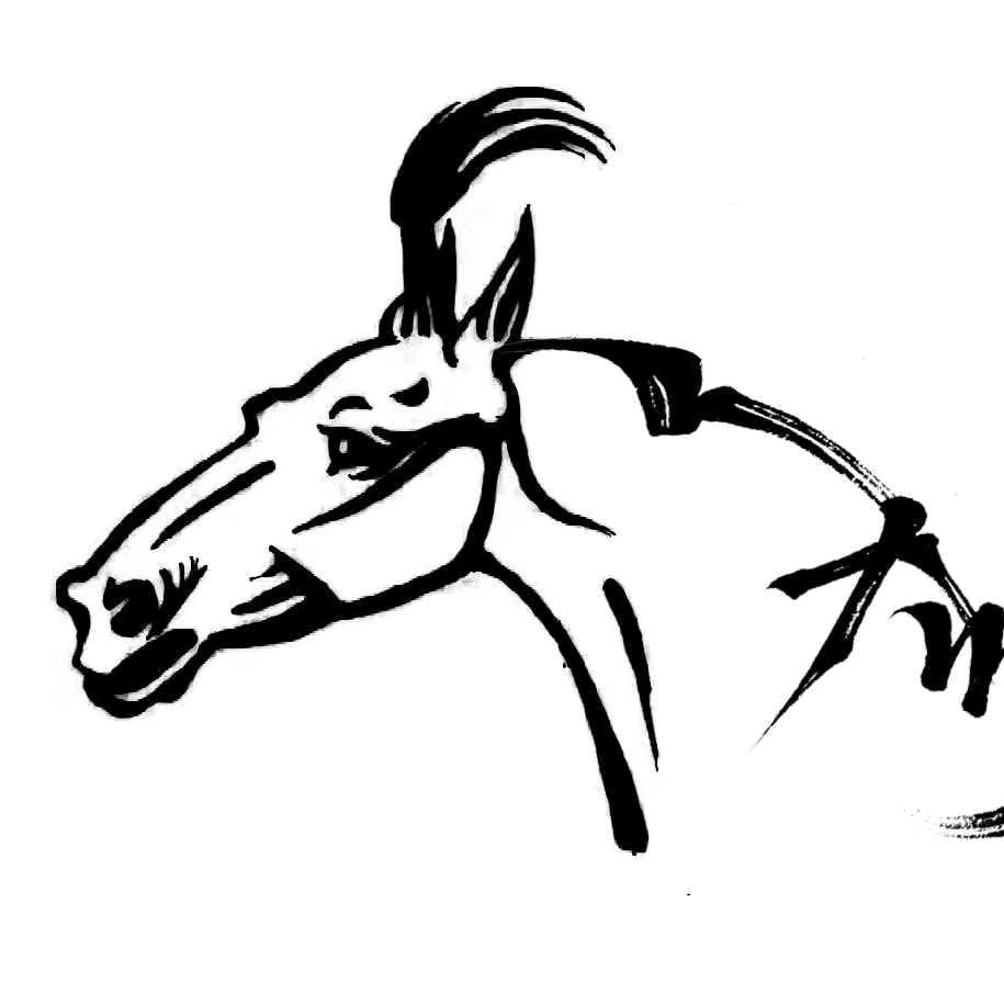 NAMULA🐴🐴🐴🐴
