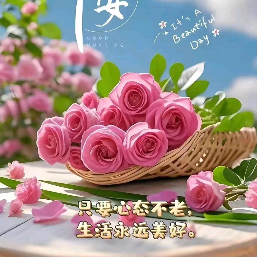 @💞莹莹💞