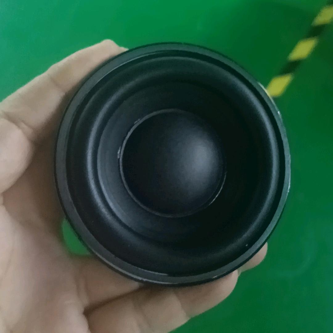 惠宝喇叭厂（小莉姐）