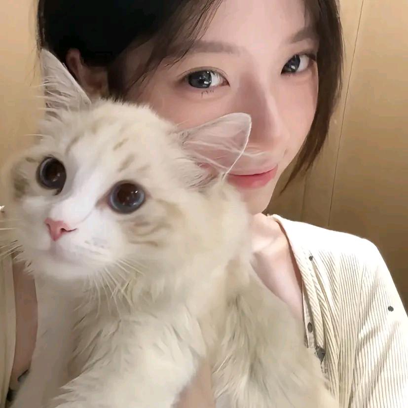 萌宠优选