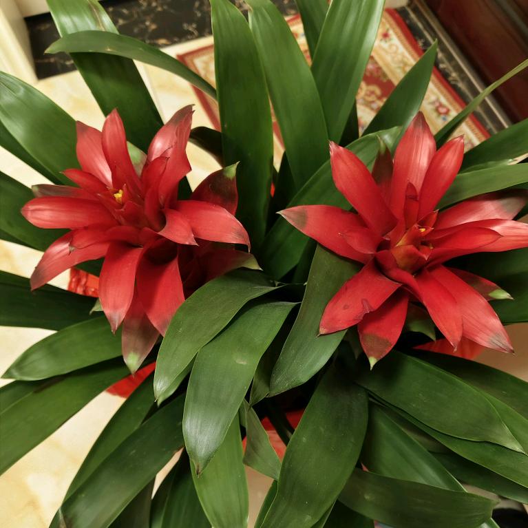 开心每一天🎀💚🌹