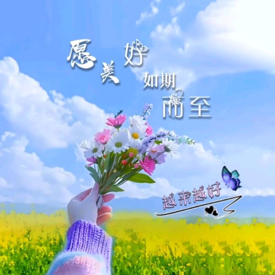 小丽酱