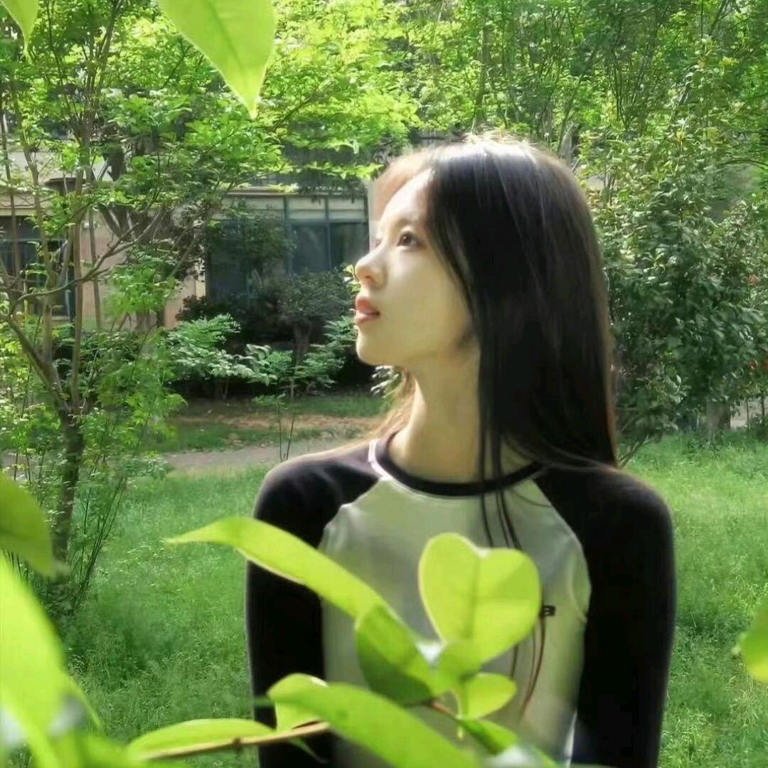 荷花（8.22生日版）