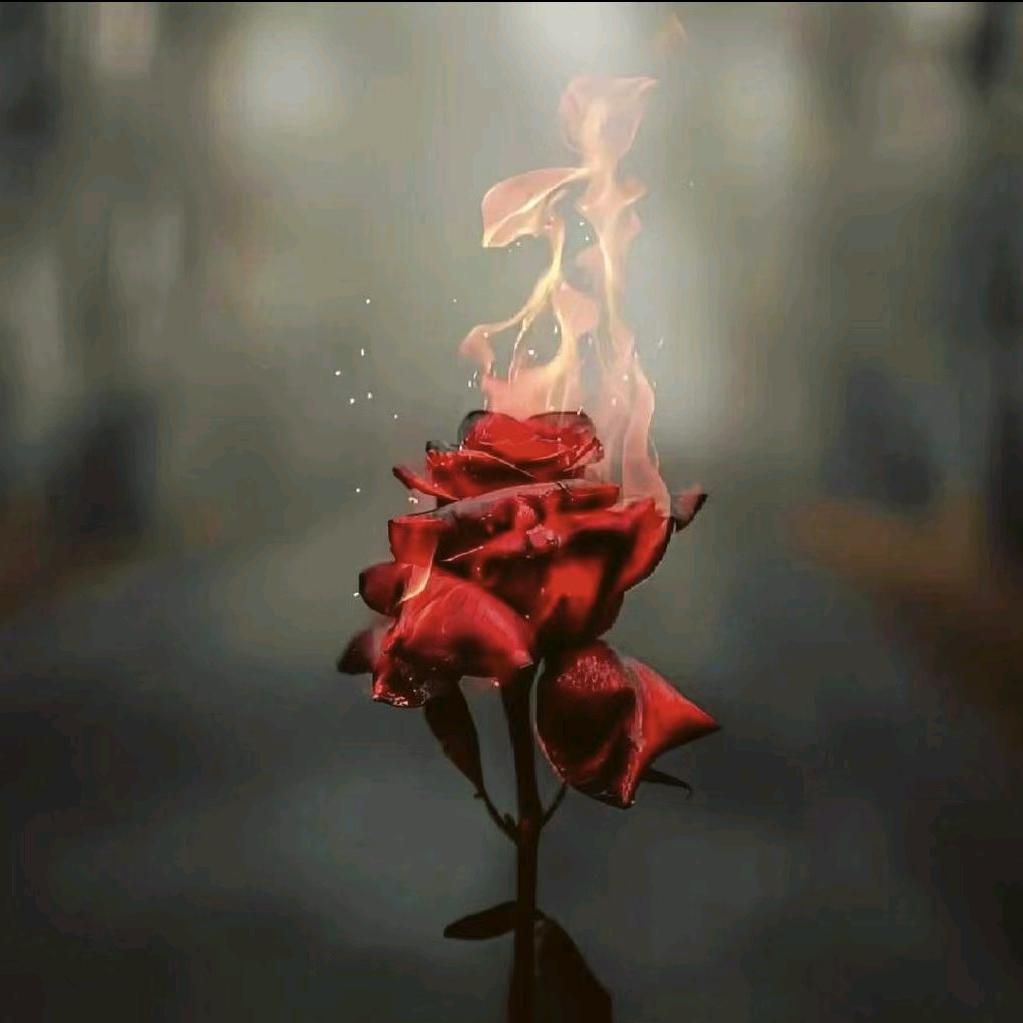 Ⱄⱄ...♡̶那个谁.