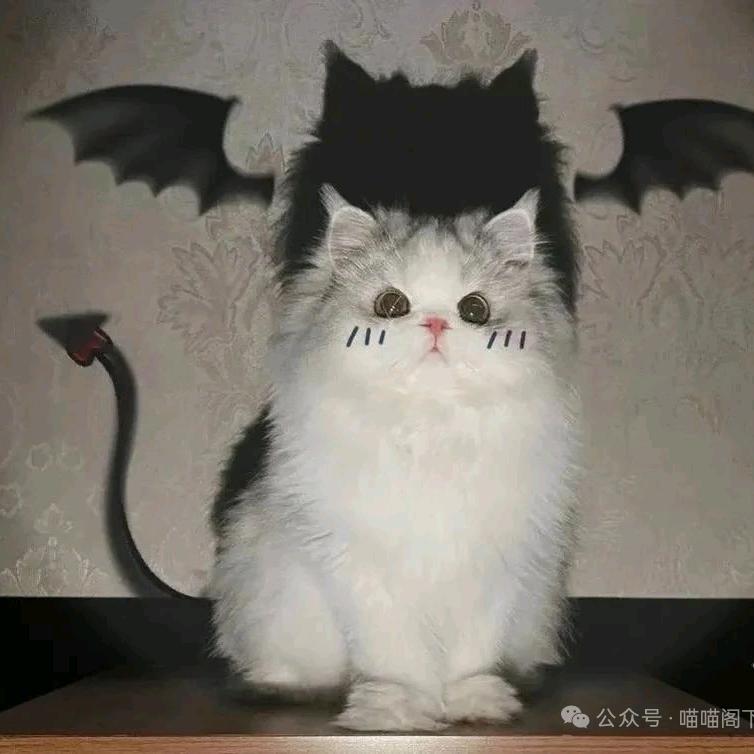 ໑ຼₒ₂₅ღ许愿上上签✨