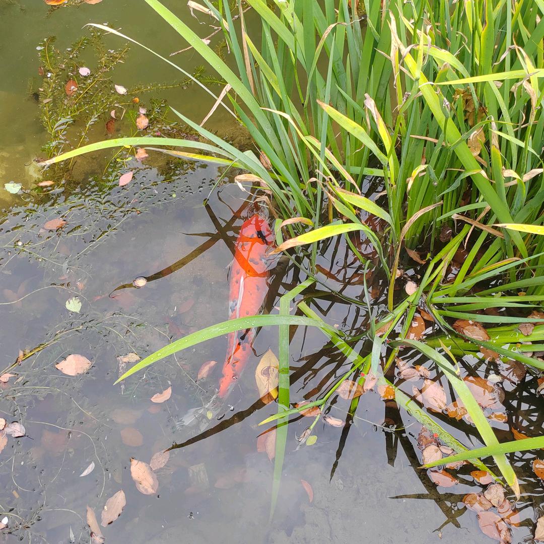 🎁🎁🎁🎁🎁🎁🎁